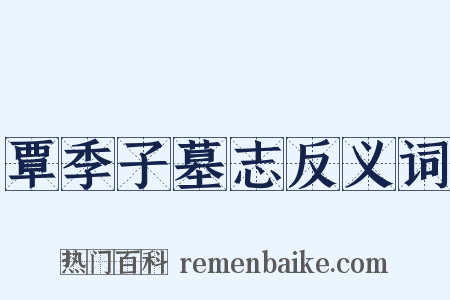 覃季子墓志反义词是什么意思的图片